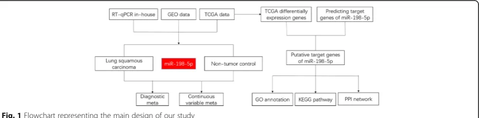Fig. 1 Flowchart representing the main design of our study