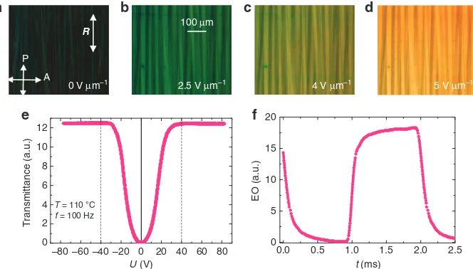 Figure 3 | Electro-optics in the SmCSdirection.applied square-wave 70 Vmicrographs with sample in the ﬁeld-induced SmCPhelF phase of 1/18