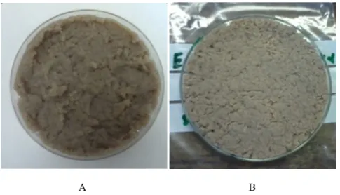 Figure 3 (A) and (B) showed the monosaccharide content 