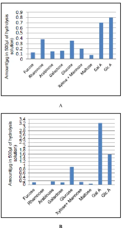 Figure 3.  Cell wall monosaccharide composition in (A) banana AIS (sample 1) and (B) banana AIS with ascorbic acid (sample 2) expressed as μg in 500 μl of hydrolysis solution