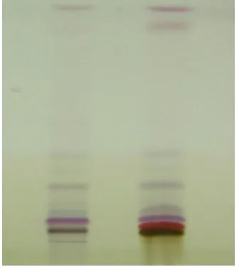 Fig. 3(b) 