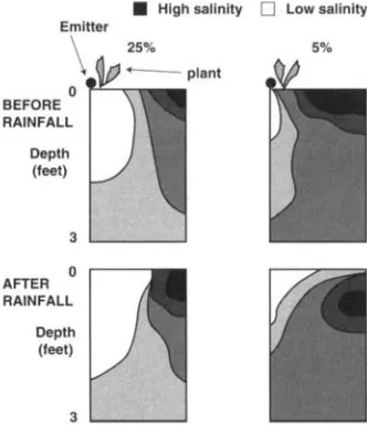 Fig. 1. Salt patterns under surface drip irri- gation before and after rainfall for leach- ing fractions of 5% and 25%