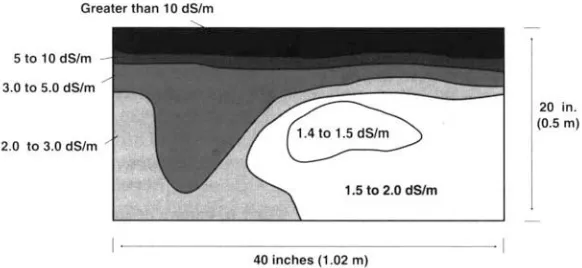 Fig. 6. Salt pattern along lateral length, September 1993. 