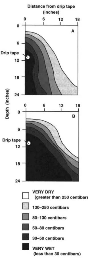 Figure 6 tern near the surface with distance along the lateral. shows a uniform salt pat- No pattern reflect- 