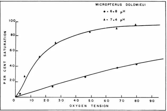 Fig. 5-0xyhemoglobin affinity curves for brown trout (Sa/mo trutta) determined at 25°C