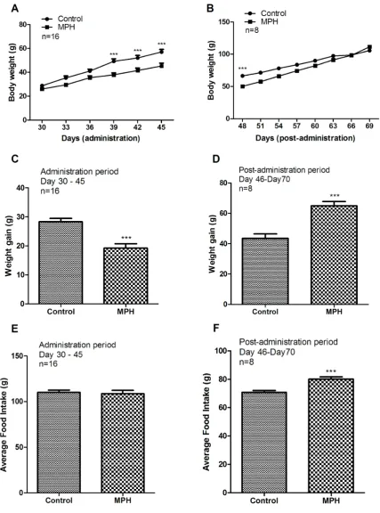 Figure 1.  Effects of oral MPH administration on changes in body weight (A and B), weight gain (C and D) and average food intake (E and F)