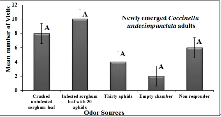 Figure 1.  Response of newly emerged C. undecimpunctata adults towards odors emitted from un-infested sorghum leaf, sorghum leaf infested with 30 aphids, thirty aphids and empty olfactometer chamber