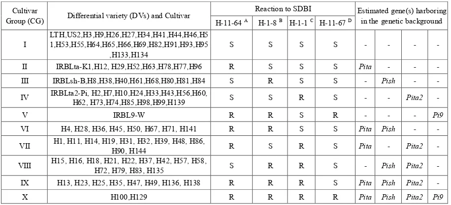 Figure 1-3. Four primers, Pita440 (YL153/YL154), The results of selecting primer(s) were presented in and IRBL9-W, harboring respectively and were used in subsequent experiment to distinct single bands from the genomic DNA of monogenic lines, IRBLta-CP1, I