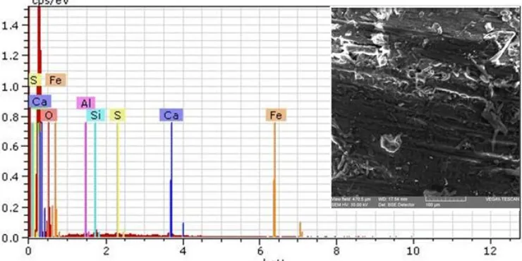 Figure 8. SEM microphotogram and EDX spectrum of the untreated old linden wood. 