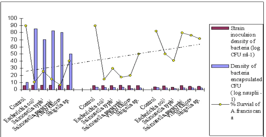 Table. 3: ANOVA (2 ways) for the differences in density of pathogenic bacteria bioencapsulated with A.franciscana   mortality in experimental tanks