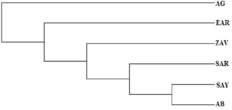 Figure 1.  Neighbour Joining tree constructed on FST distances of all the Anatolian native breeds