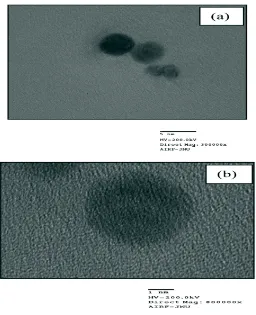 Figure 2: TEM images of silver nanoparticles at (a) 5 nm scale and (b) 1 nm scale [46].