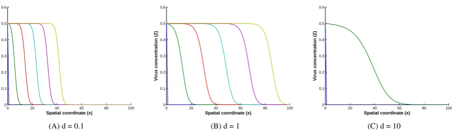 Figure 7. Proﬁle of the virus concentration for m = 0.5.