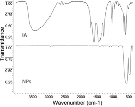 Figure 1. FTIR spectra of {Fe3O}NO3 acetate (IA) and obtained nanoparticles (NPs).