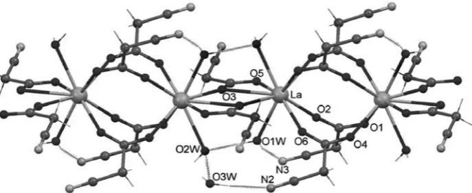 Figure 1. View of polymeric chain. 