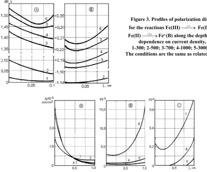 Figure 3. Proﬁ les of polarization distribution 