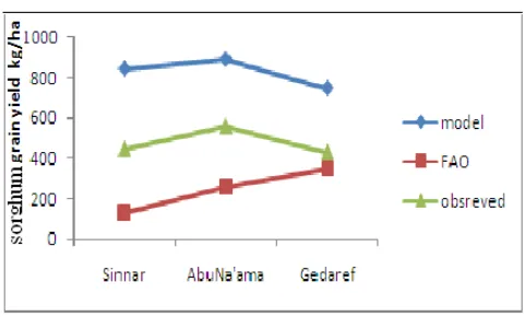 Figure 7.  Observed and model estimated yield. 