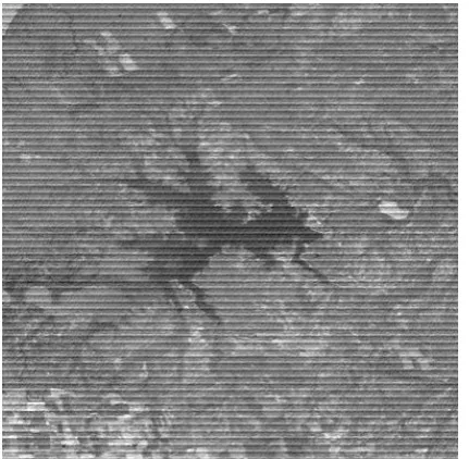 Fig. 1.Example of striping in Landsat 4 Multispectral  Scanner (MSS) Level 0 (L0) data in band 3