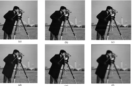 Fig. 6. A) original image, b) simulated image c) corrected image using wavelet-based filter, d) corrected image using order one  Butterworth notch filter e) corrected image using spatial domain filter, F) corrected image using Gaussian low-pass filter with