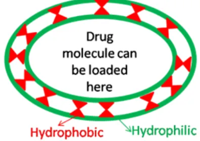 Figure 6.  Structure of Liposome 