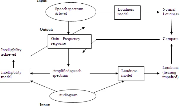 Figure 5.  Adaptive optimization process in NAL-NL2 procedure 