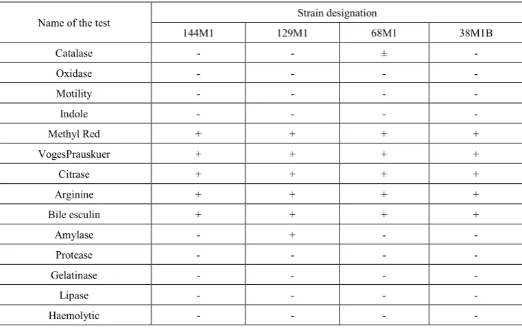 Figure 2 (a. b & c).  Different forms of Enterococcus shown by Gram stain 