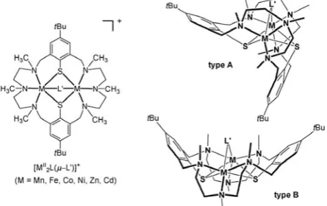 Fig. 1. Cationic [MII2(L)(μ-L')]+ complexes supported by the ligands (L)2− and schematicrepresentation of their structures (L' = coligand)