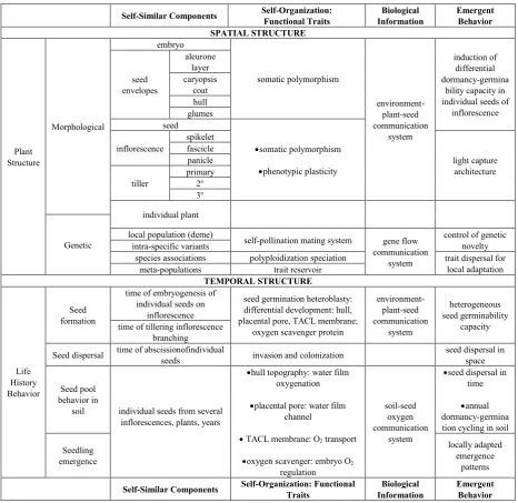 Table 1.  Plant structure (spatial, temporal) and emergent behavior examples of self-similar components, self-organization functional traits, and communication-information in the life history of weedy Setaria 