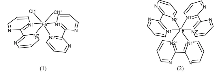 Fig. 2. Fe(bpym)2Cl2 (1) and [Fe(bpym)3]2+ (2) systems with atom numbering.