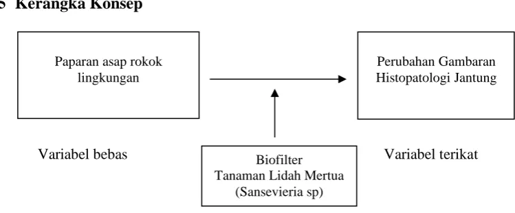 Gambar 7. Kerangka Konsep 