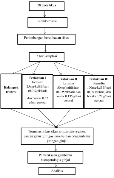 Gambar 10. Alur Penelitian 
