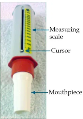 Gambar 17. Peak flow meter (Adeniyi, 2011). 