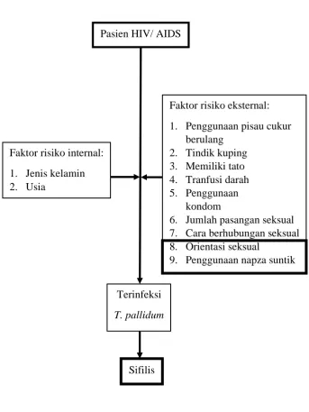 Gambar 5. Kerangka Teori  