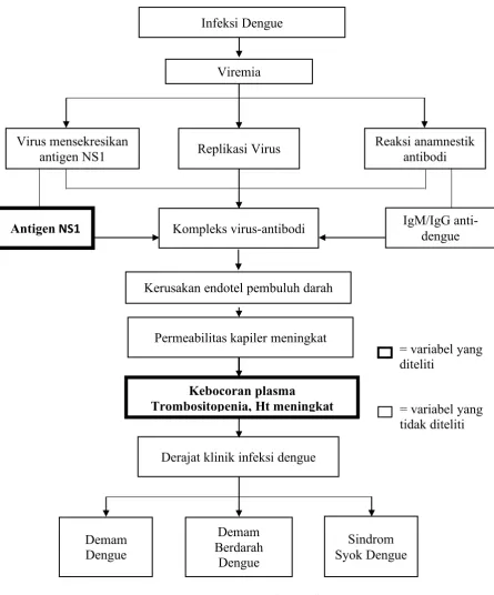 Gambar 1. Kerangka Teori 