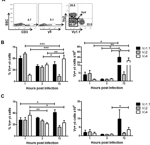 FIGURE 2.Differential recruitment of 