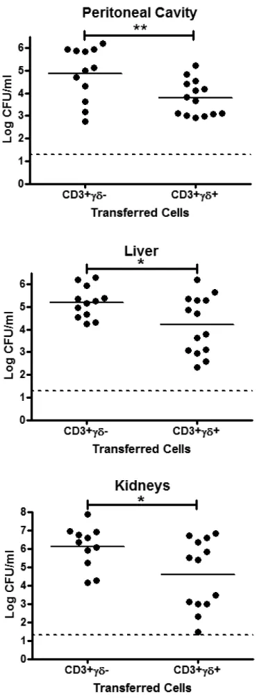 FIGURE 7.Adoptively transferred 