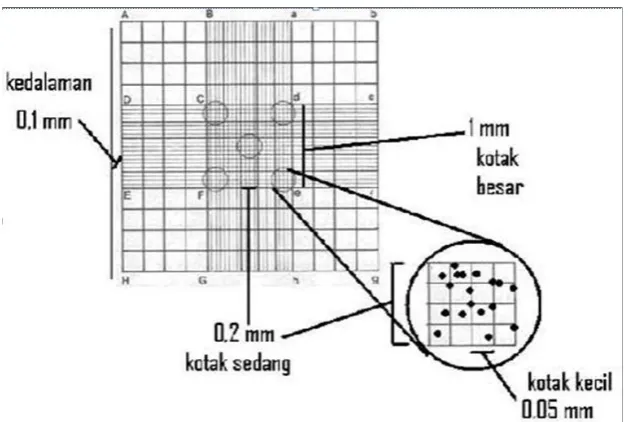 Gambar 2. Haemocytometer 