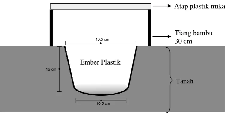 Gambar 3. Pitfall trap 