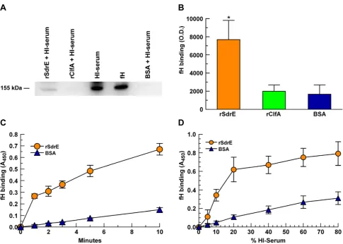 Figure 4. fH binding to recombinant proteins. rSdrE, rClfA and BSA (10using heat-inactivated serum (HI-serum): A, Serum proteins bound to immobilized rSdrE, rClfA, and BSA in microtiter wells were extracted with 2%SDS and analyzed by anti-fH Western blot