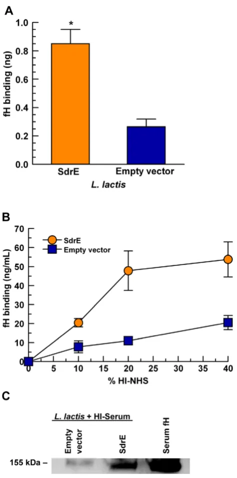 Figure 5. rSdrE-bound fH retains cofactor activity for factor-Imediated cleavage of C3b.purified fH