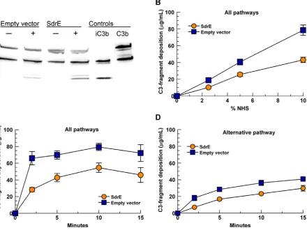 Figure 7. Surface expression of SdrE increases cleavage of C3b and reduces total C3-fragment deposition