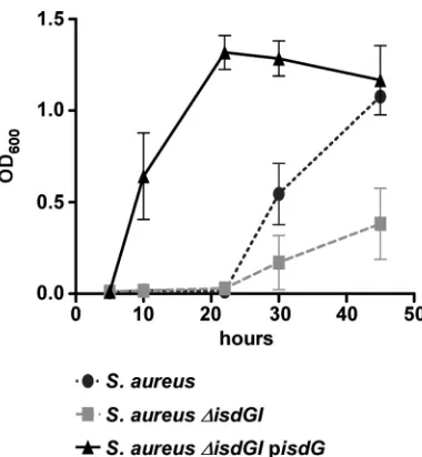 FIG. 7. S. lugdunensisfect of anthe growth ofpressingstrains contain a p IsdG complements the heme utilization de- S