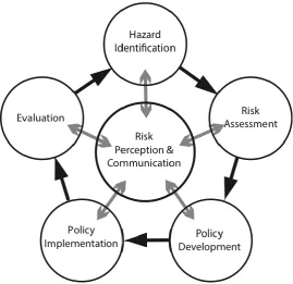 Figure 3:  Risk Pereception and Communication visualized at the center of the Risk Managment Cycle