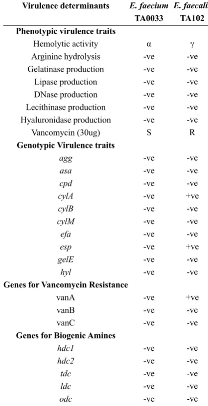 Fig. 4.  Vancomycin resistance genes in E. faecium TA033 and E. faecalis TA102. Lanes M: Molecular weight marker; Lane 1, 2, 3: vanA, vanB and vanC in E