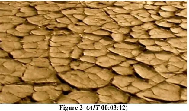 Fig. 1 (AIT 00:03:07) 