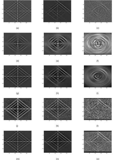 Fig. 5. Comparison of the inverse Radon transforms of the estimates of p(b)P1-20). (l)��ð��Þ computed for the image 3b with different level of noise