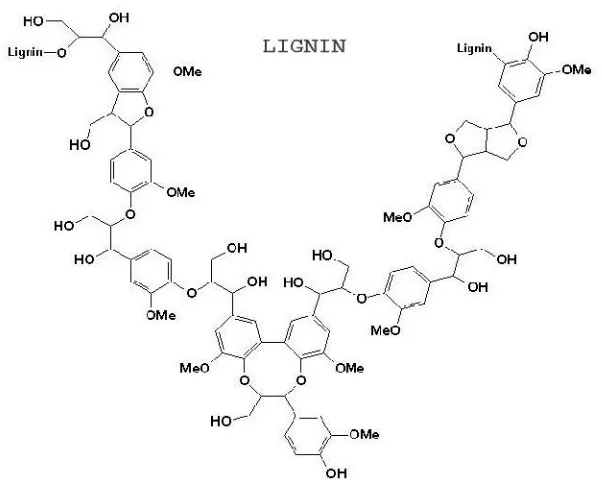 Gambar 2.5 Struktur Lignin