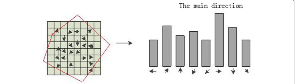 Fig. 8 The detection of DoG space extreme point