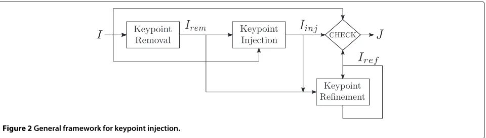 Figure 2 General framework for keypoint injection.