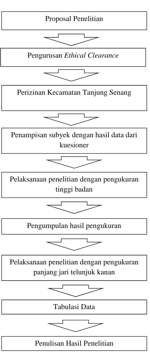 Gambar 8. Alur Penelitian